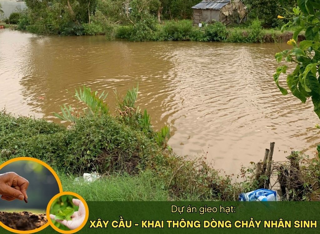 Dự án xây cầu 1