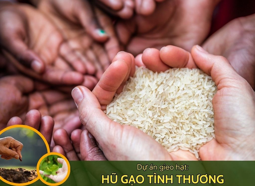 hũ gạo tình thương